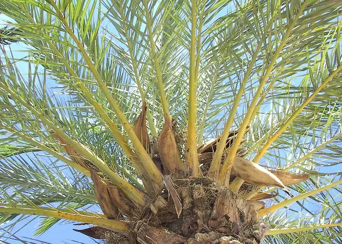 Select'sohome - A Deux Pas De La Du Lavandou Pour 4 Personnes - Avec Piscine Et Tennis - Cyclades-18 Le Lavandou